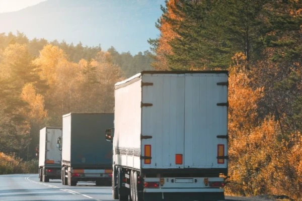 Adana Selendi Nakliyat